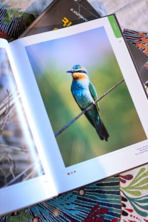 Birds of Armenia from Berta Martirosyan Birds of Armenia from Berta Martirosyan