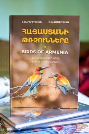 Birds of Armenia from Berta Martirosyan Birds of Armenia from Berta Martirosyan