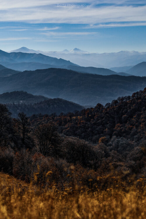forest of lori region